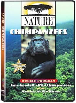 Nature: Chimpanzees