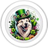 Zoom IMG-1 canadian eskimo dog st patricks Zoom IMG-1 canadian eskimo dog st patricks