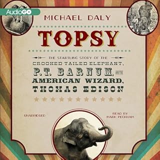Topsy Audiolibro Por Michael Daly arte de portada
