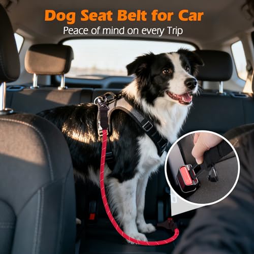PetBonus Dog Seat Belt for Car, Durable Rope Dog Car Harness Seatbelt for Vehicle, Pet Tether Safety Restraint with Heavy Duty Buckle Hook Latch Lockable Clip for Small Medium Large Breeds (Red) - Thumbnail 3