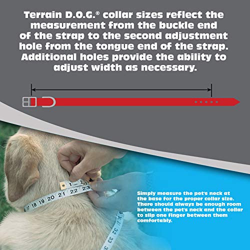 Terrain D.O.G. Brahma Webb Dog Collar, 25" x 1", Hot Pink by Terrain D.O.G. - Image 8