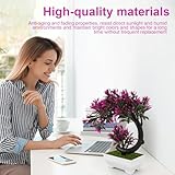 Zoom IMG-2 phming piante finte da interno Zoom IMG-2 phming piante finte da interno