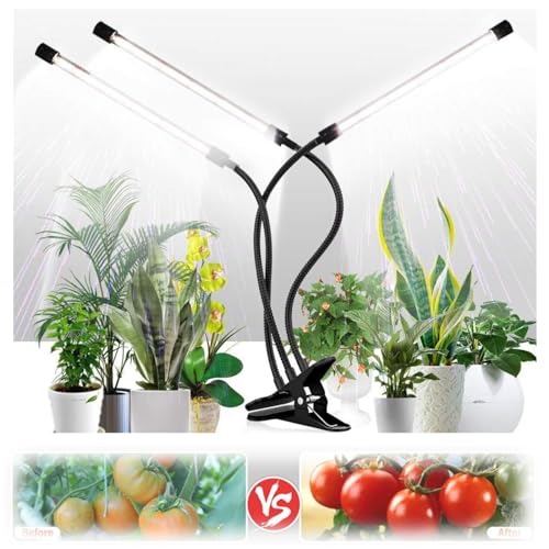 A琬Cg LED Nbv Cg A ^C~O@\ ͔| Px iK ^C}[ ؂ւ 360°\ s  ȃGl  A琬 ƒ؉ | ͔| USBd (4wbh)
