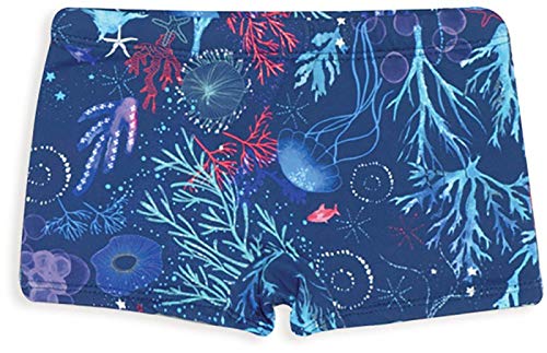 Sunga Boxer com Proteção Solar Dedeka - Fundo do Mar