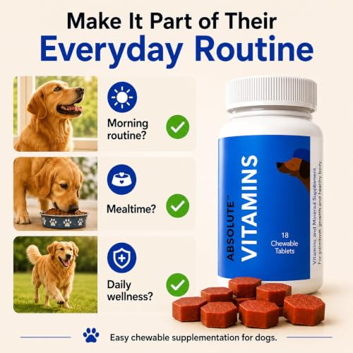 Image of Drools Absolute Dog Supplement Tablets 175g (50 Pieces) Jar | Chicken Flavour | Supports Growth | Maintains Healthy Body Condition | Aids Faster Recovery