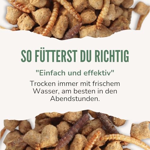 Orni Igelfutter mit Insekten ohne Getreide | 1kg | Alleinfutter für Igel | Artgerecht | getreidefrei | Trockenfutter mit Mehlwürmer Seidenraupen und hohem Fleischanteil