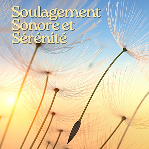 Développement Personnel