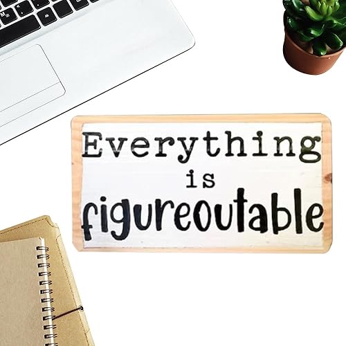 Divertido eslogan decorativo, What (and I can't stress this enough) the f*ck - Divertido letrero de madera para escritorio de oficina, adornos de