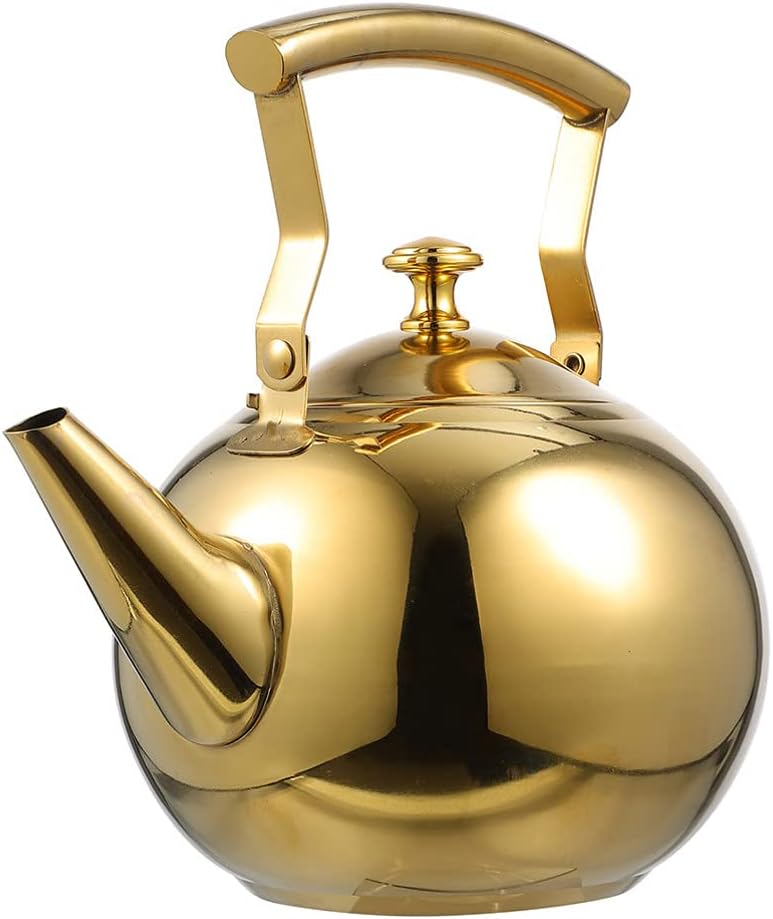 DOITOOL Stainless Steel Tea Kettle with Filter 2L Portable Water Kettle for Loose Leaf Tea Brewing and Hot Beverages Ideal for Home Kitchen Use