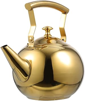 DOITOOL Stainless Steel Tea Kettle with Strainer 2L Teapot for Loose Leaf Tea Stovetop Water Kettle for Home Kitchen Heat and Cold Resistant Portable 8.66 X 7.87 X 6.69 in