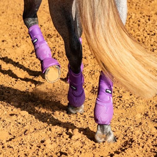 Image of Classic Equine Legacy2 Support Boots, Front and Hind