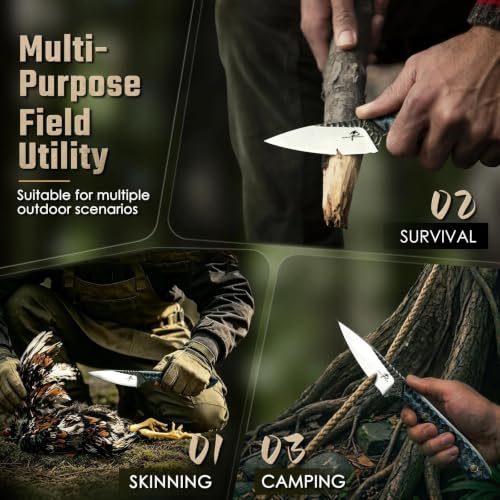View 5