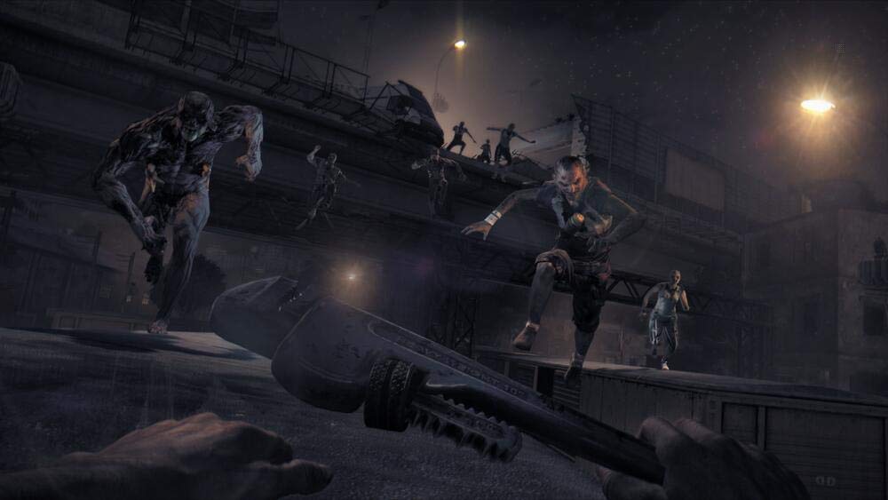 Dying Light - PlayStation 4 [Importación francesa]