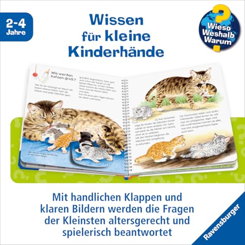 Wieso? Weshalb? Warum? junior, Band 21 - Die Katze (Sachbuch ab 2 Jahre - mit Klappen) (junior, 21)