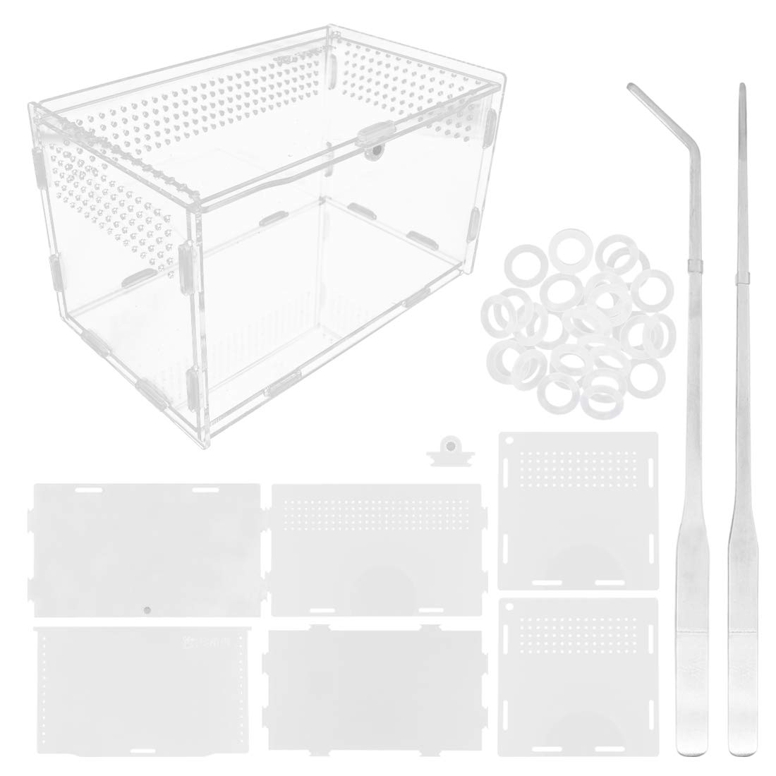 Caja de alimentación para Reptiles de acrílico, 20 x 12 x 12 cm, Caja de cría de Vidrio Transparente para terrario con 2 Pinzas Rectas y Curvas para Mascotas, Insectos, araña, grillos, Caracoles
