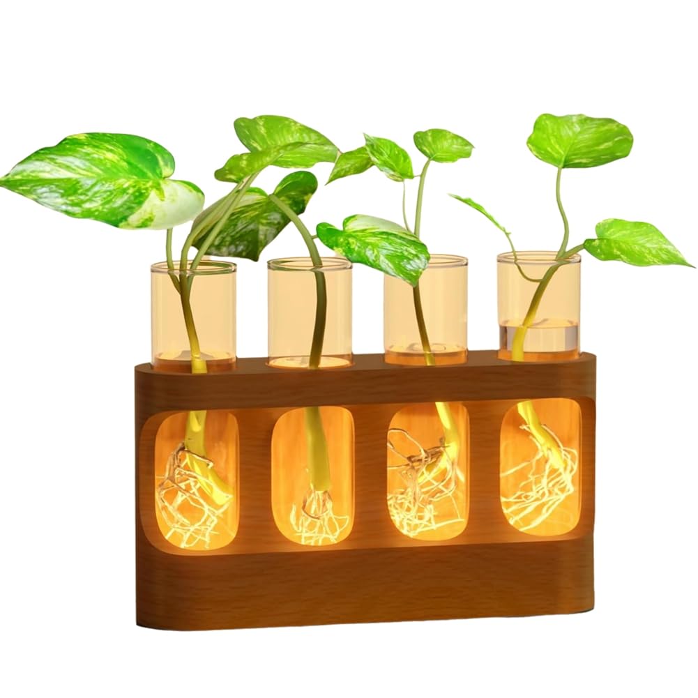 Terrarium végétal en bois pour illuminer votre salon avec 4 vases de propagation LED