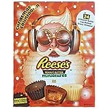 Reese's Peanut Butter 2020 Advent Calendar 247g