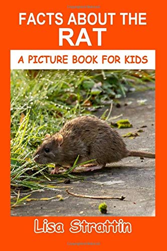 Facts About the Rat (A Picture Book For Kids)