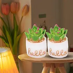 2 peças de cacto artificial criativo, plantas suculentas, ornamentos em vaso, resina, verde, plantas falsas, carro, casa, mesa, decoração (estilo 4)