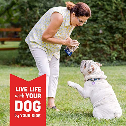 Cloud Star, Dynamo Hip & Joint Bacon & Cheese, 14 Ounce #TOP4