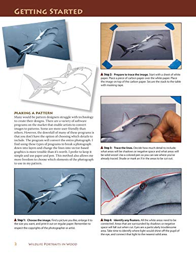 Wildlife Portraits in Wood: 30 Patterns to Capture the Beauty of Nature (Fox Chapel Publishing) - Image 5