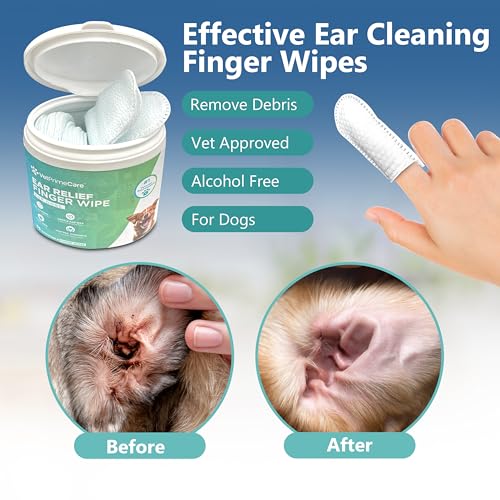 Pet Finger Wipes for Dogs Ear Relief Aloe Vera  Eucalyptus Infusion Pet Grooming Wipes Remove Debris  Ear Wax Soothe  Deodorize 55count Pack  Cucciolini Doodles Pet finger wipes for dogs ear relief aloe vera  eucalyptus infusion pet grooming wipes remove debris  ear wax soothe  deodorize 55 count pack   cucciolini doodles