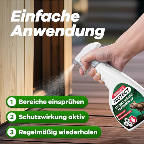 Gerobug Ratten & Mäuseabwehr Spray 500 ml mit Langzeitwirkung - Pfefferminzöl gegen Mäuse für Haus & Garten, hochwirksame Alternative zu Mäusegift oder Rattengift