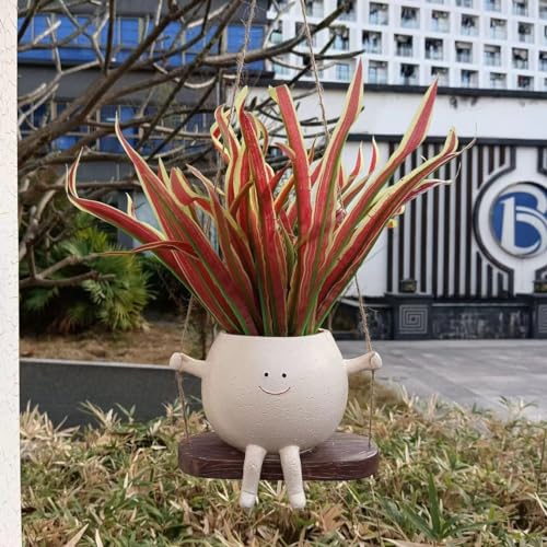 Pot de fleurs intérieur extérieur suspendu pour plante succulente et cactus