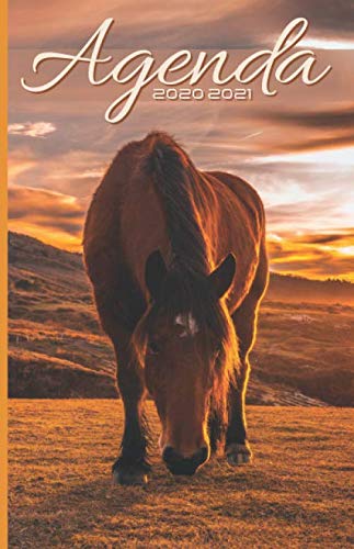 Agenda Scolaire 2020 2021: Agenda Cheval 2020 2021 de Août 2020 à Décembre 2021 Petit Format Cale PDF Ebook En Ligne