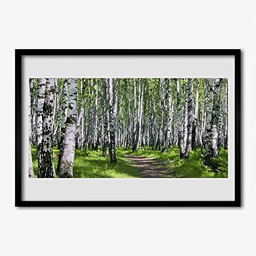Photo murale salon paysage arbres cadre affiche de nature 70x50
