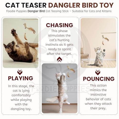 Image of Foodie Puppies Interactive Cat Teasing Wand - (Double Dangler Bird) for Cats and Kittens | Wooden Teaser with Stringed Feathers and Bell | Cat Toy for Teasing & Exerciser