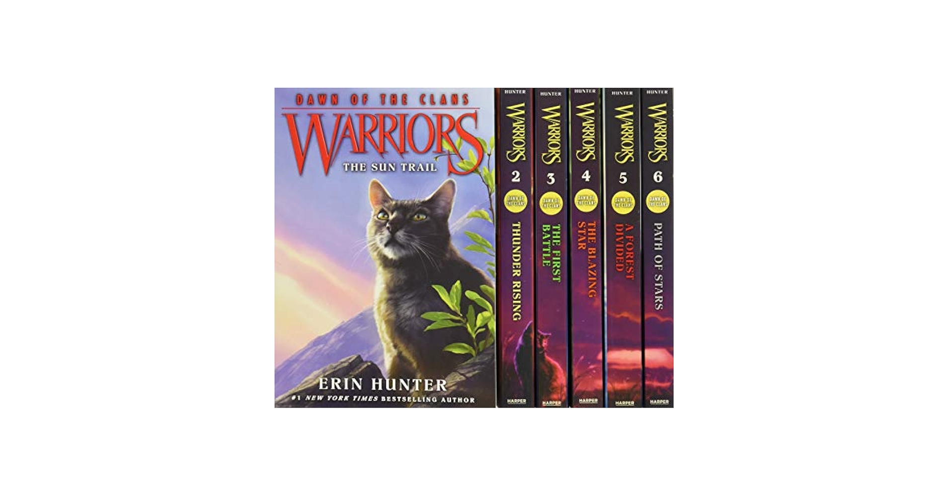 洋書多読◆Warriors Box Set 1-6 First Series6冊 Warriors Box Set Volumes 1-6: Complete Series by Erin Hunter