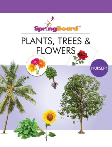 Periwinkle SpringBoard - Plants, Trees & Flowers - Nursery 2-4 years ...