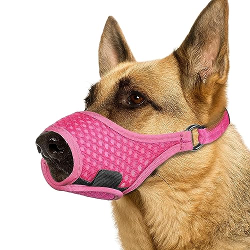 Find The Best Muzzle For A Dog Reviews & Comparison Katynel