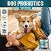 Dog Probiotics for Dogs, 200 Soft Probiotics Chews for Dogs Digestive Health Gut Health & Immune System, with 6 Probiotics & Digestive Enzymes, Support Itchy Skin, Constipation & Diarrhea Relief