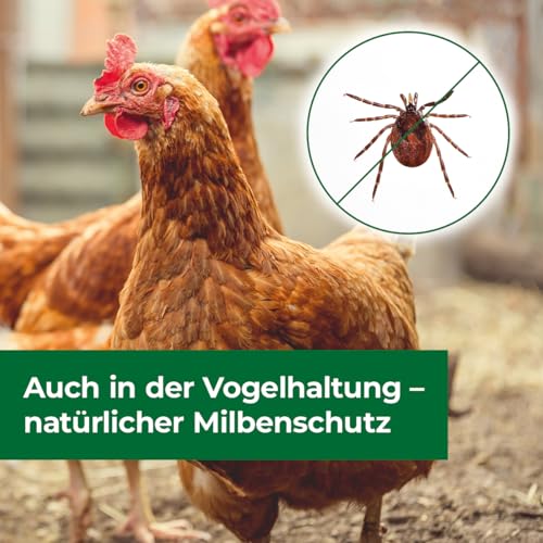 PROTECT HOME Ameisen & Milben Blocker, insektizidfreies, natürliches Ameisenmittel gegen Ameisen auf Wegen, Plätzen, Terrassen, in Beeten oder im Rasen, 200 g Dose