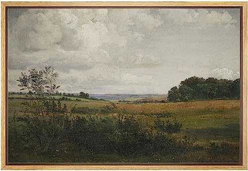 wall26 Framed Canvas Print Wall Art Rustic Rural Storm Cloud