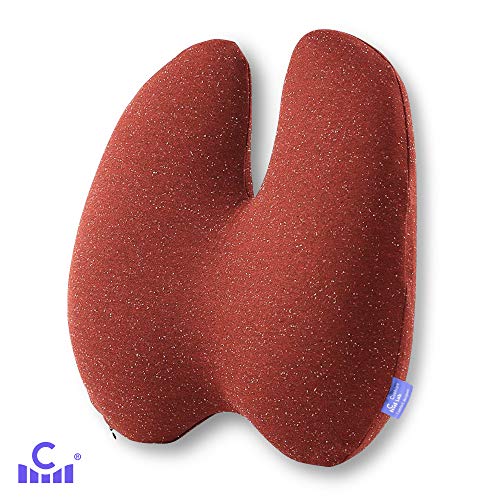 Cushion Lab Extra Dense Lumbar Pillow - Patented Ergonomic Multi-Region Firm Back Support