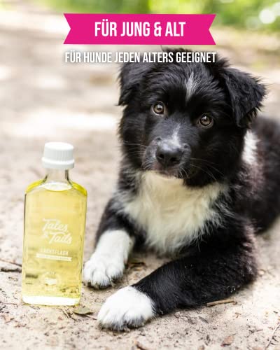 Tales & Tails Lachsöl mit Omega 3 für Hunde - Lachsflash | Ohne Künstliche Zusätze | Lachsöl für Hundefutter | 1x 240ml