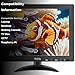 Wstirhy 9.7 Inch Small Monitor 1024x768 Portable Monitor 4:3 Screen Display with HDMI VGA AV BNC USB Port, 60Hz, VESA, Built-in Speaker, Remote Control for PC Computer Laptop RasPi