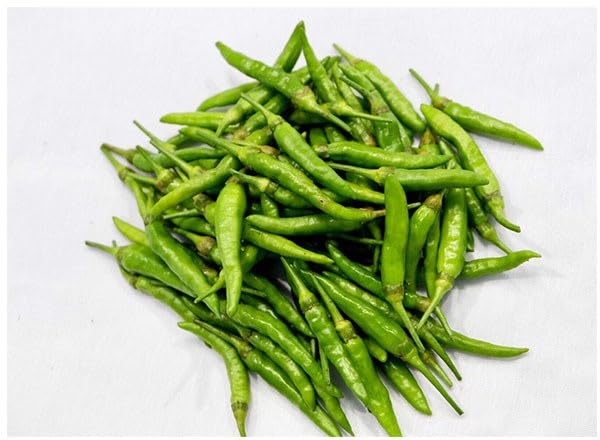 Willvine Bird Pepper Green Chili-KGF-5Y-image-27