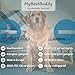 MyBestBuddy Hundekissen Komfort grau 80x60 cm L, allergikerfreundlich (100% Polyester), rutschfest - 40°C waschbar mit flauschigem Stoffbezug - Hundematte BZW. Hundebett für mittelgroße Hunde