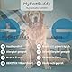 MyBestBuddy Hundekissen Komfort grau 70x50 cm M, allergikerfreundlich (100% Polyester), rutschfest - 40°C waschbar mit flauschigem Stoffbezug - Hundematte BZW. Hundebett für mittelgroße Hunde