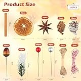 Zoom IMG-1 232 pezzi corona di natale Zoom IMG-1 232 pezzi corona di natale