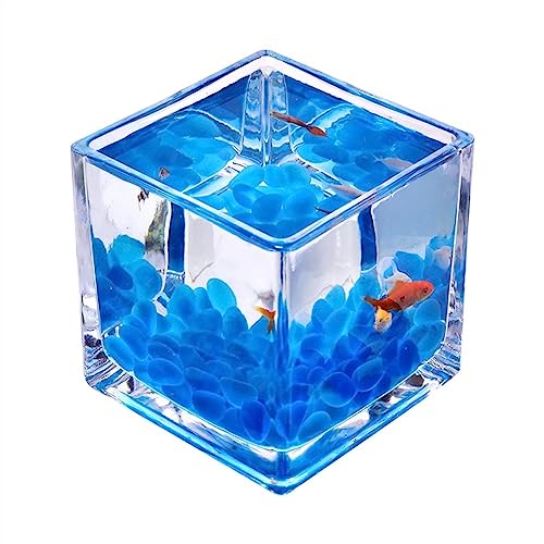 水槽用魚タブタンク ガラス製スクエア型魚タンク 厚みのあるテーブルトップ 透明ファイティングフィッシュタンク 小型エコロジカル水槽装飾 クールフィッシュタンク(サイズ:M) (M)
