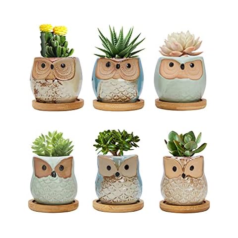 Warmplus Owl Succulent Pots, 6CM Cute Owl Cactus Pots Animal Plant Pot Small Flower Pots with Drain Hole and Bamboo Tray, and Great for Home Office Decor, Set of 6 (Plants Not Included) Cover