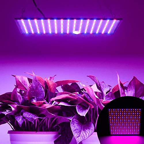Pflanzenlampe LED Vollspektrum, Pflanzenlampen LED Grow Light 1000W mit 4 Aufhängehaken 225 LEDs, Pflanzen Wachstumslampe Led Wachstumslampe für Gewächshaus Zimmerpflanzen (Rot+Blau)