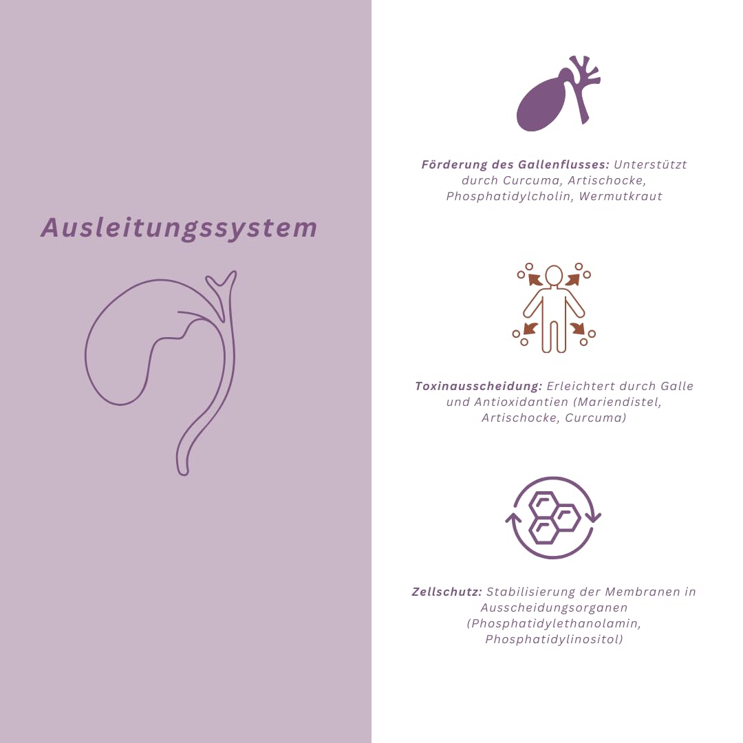 Anti-Stress Kapseln mit GABA, Curcuma & Mariendistel – Vegan & ohne Zusatzstoffe – Entspannung, Schlaf & Leber-Detox – Made in Germany