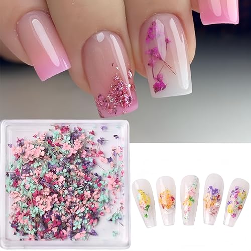 Japanese Dried Flower Nail Art Stickers, 3D Colored Dried Flowers Real Flowers Natural Flowers Gypsophila Floral Nail Decoration Stickers Women's Nail Art Decoration Makeup DIY Accessories 1 Box