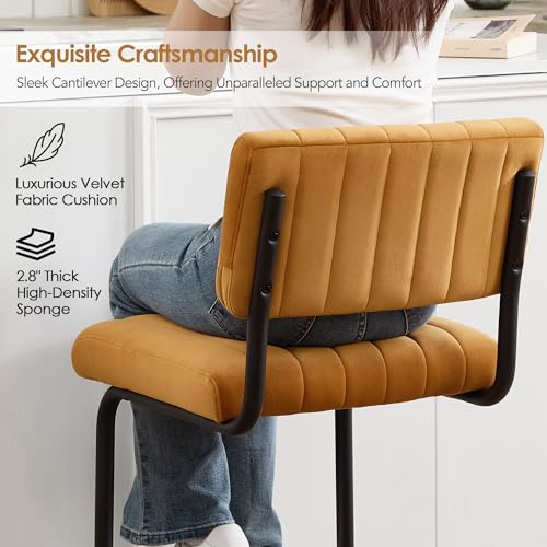 Image of ONEVOG 30 Inch Modern Bar Stools Set of 2, Upholstered Mid Century Modern Bar Height Stools Chairs with Tufted Cushion and Backs, Velvet Fabric Cantilever Barstools for Kitchen Island Pub